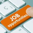 JOB ALERT: Looking for a career change in the new year? Well Waterford County Council is hiring