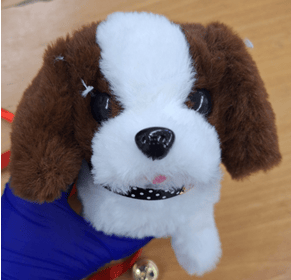 A safety issue has also been identified with a Plush toy – Electronic Puppy sold by a third-party seller (Magic Brothers Toy Store) on SHEIN marketplace.