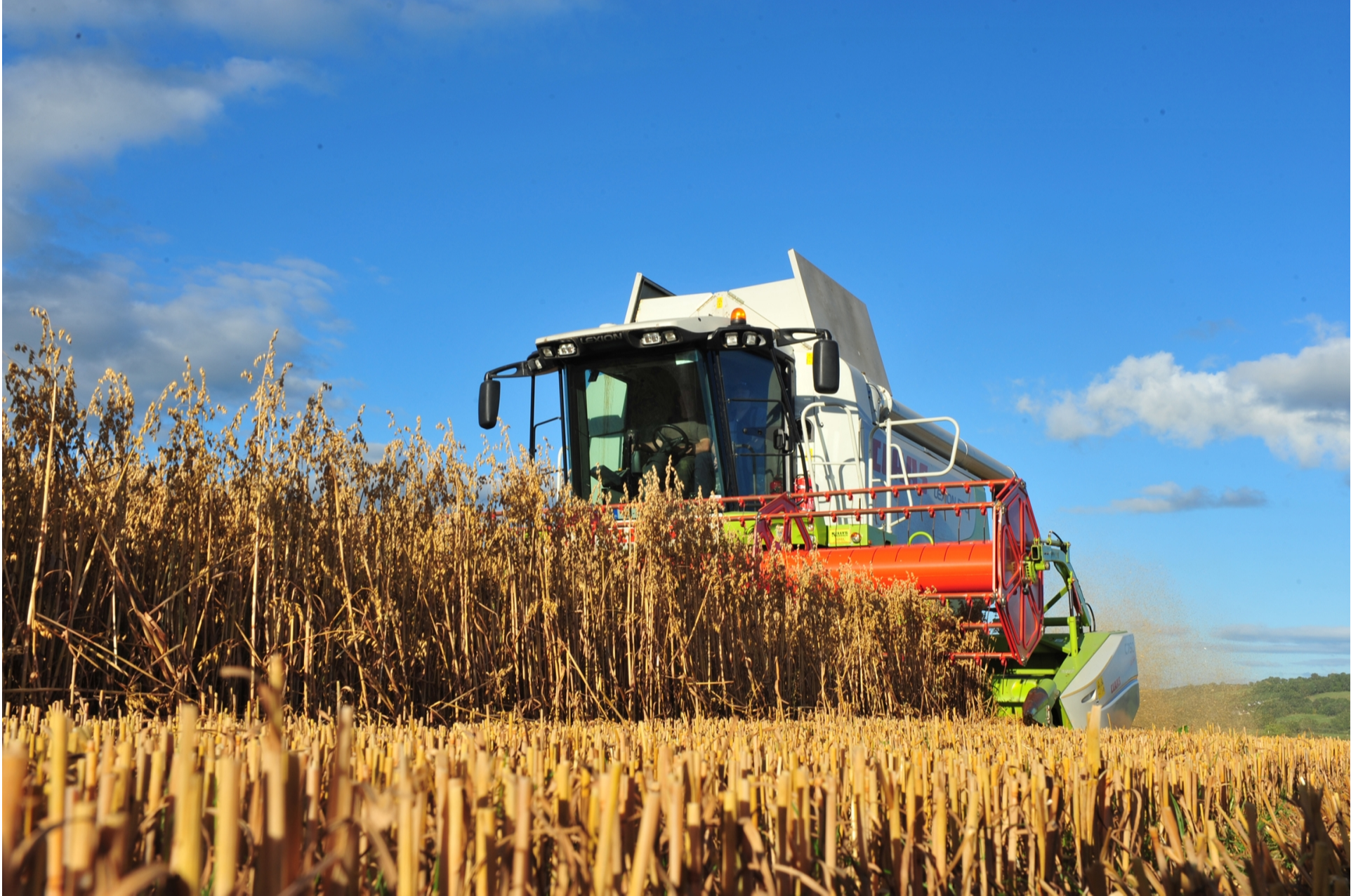 Tirlán FarmLife puts out a call for gluten-free oat crops in Kilkenny 