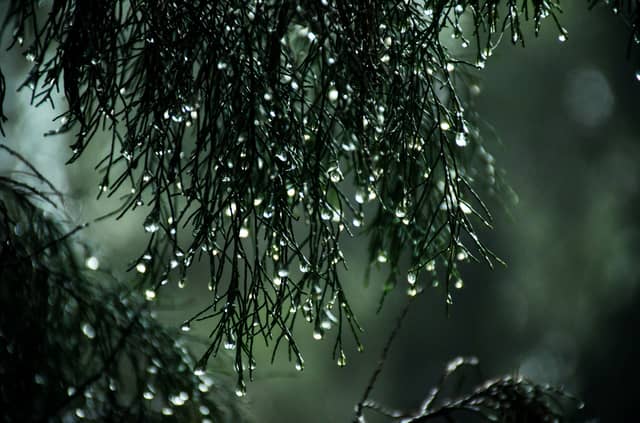 CARLOW WEATHER: A breezy day with long spells of rain expected