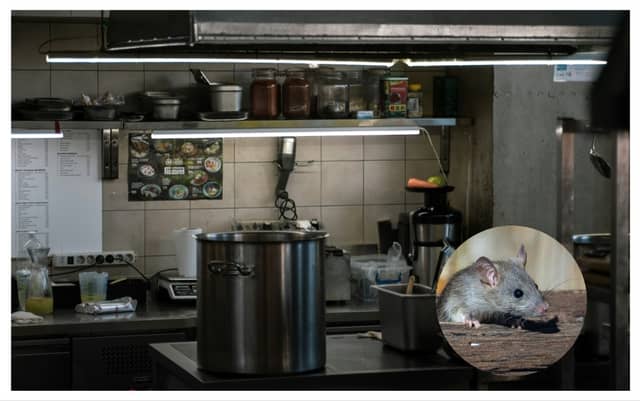 The FSAI say latest closures 'highlight an unacceptable disregard for basic food safety and hygiene practices'