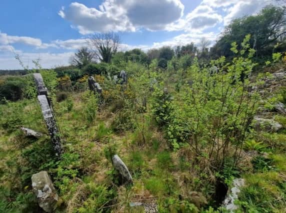 There are over 130 historic burial grounds across Waterford city and county that are vested in the care of the local authority