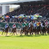 GIVEAWAY TIME: Win tickets to Punchestown Festival 2025 in Kildare