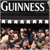 Irish fans beware as Cheltenham hikes price of Guinness to staggering level