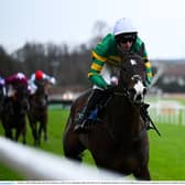 Majborough is in action in the Arkle on Tuesday having won the Triumph Hurdle last year PIC: Sportsfile