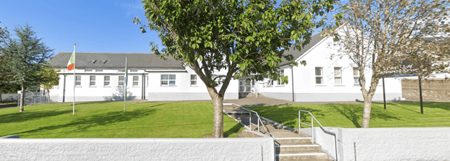 Pictured: Portlaw National School is one of 27 schools around the country to receive funding . Image from Google Street View