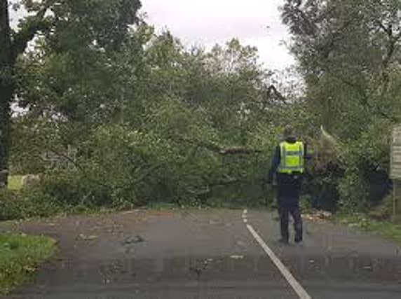 ALERT: Storm Ophelia deaths serve as chilling warning to others during Storm Éowyn