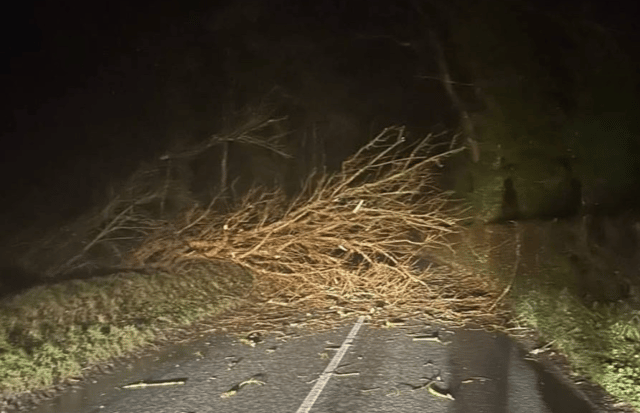 A tree blocking a road near Kilfinane in County Limerick during Storm Éowyn