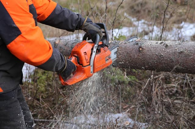The Health and Safety Authority is appealing to members of the public to leave the immediate Storm Éowyn clean-up to emergency services and professional operators