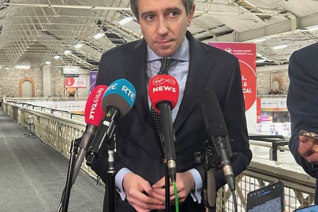 A budgetary watchdog’s analysis showed that just three corporate groups accounted for between 30% and 38% of all corporate tax receipts in Ireland between 2017 and 2021.