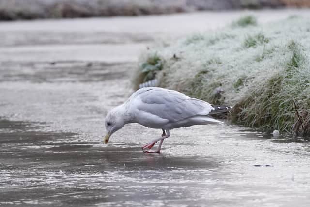 A yellow warning for low temperatures and ice covers all of Ireland until midday on Friday, with widespread frost, ice, lying snow and some patches of freezing fog expected. Potential travel disruption and poor visibility are also possible.