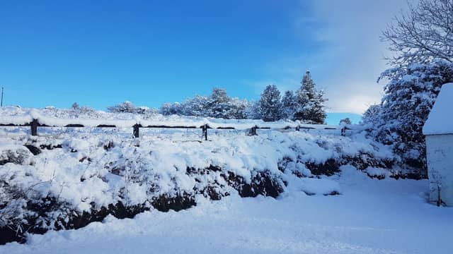 Forecaster warns of 'snow risk' in Ireland this week