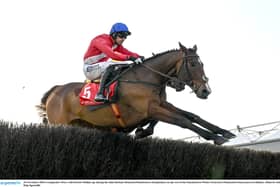 Grangeclare West in action at Punchestown last year PIC: Sportsfile