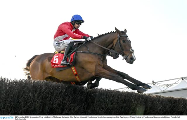 Grangeclare West in action at Punchestown last year PIC: Sportsfile
