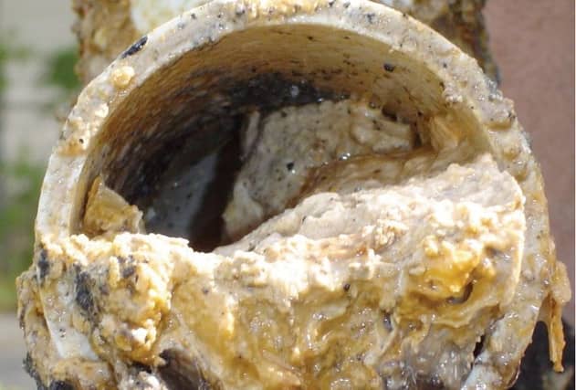 ALERT: Irish people issued with drain warning ahead of Christmas period