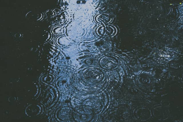 Weather: Cloudy and wet with persistent rain in Waterford today