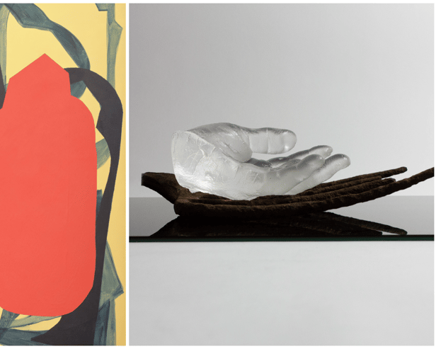 The BODIES and GROUND exhibitions will be officially launched next week 