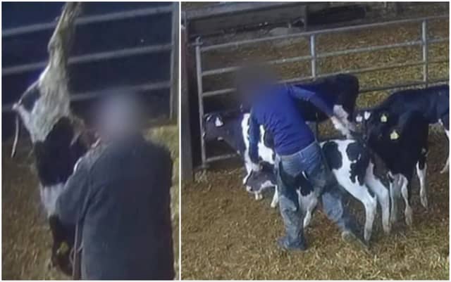 Picture credit: RTÉ Investigates