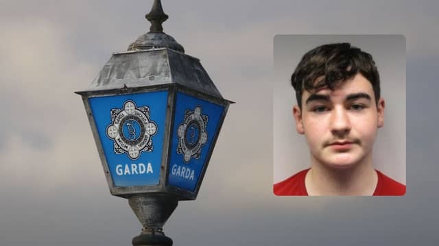 Tiege (Tadgh) Hart | Courtesy of An Garda Síochána Missing Persons Facebook page