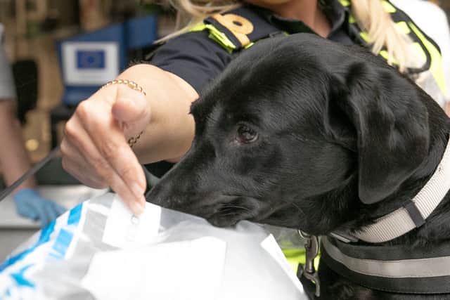 This included a number of notable seizures over the course of several days in August, such as 10.5 million euro worth of cocaine at Dublin Port, and operations at Rosslare Europort which uncovered 7.2 million worth of cocaine and 16 million euro worth of cannabis products.