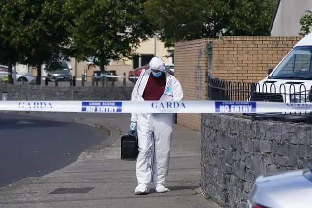 Gardai at the scene of the fatal incident | PICTURES: Press Association