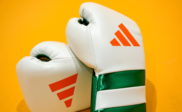 Ten Irish boxers have been named for the Paris Olympics