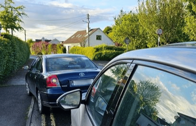 Picture: Facebook/Laois Offaly Gardai