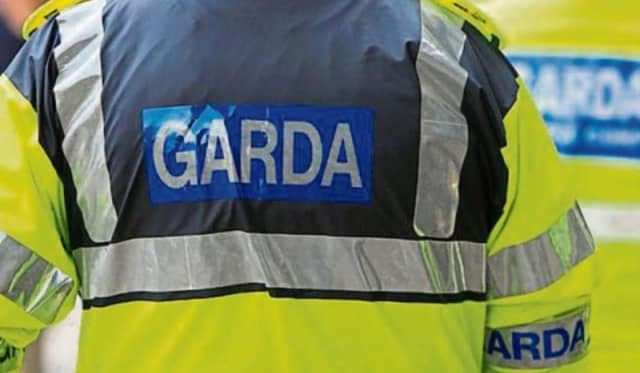 Investigations are ongoing after a machete assault in Dublin.