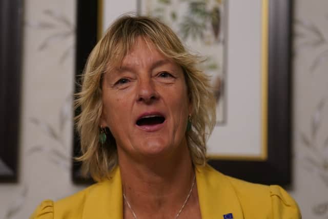 The other sitting MEPs are independent candidate Mick Wallace and Fianna Fail representative Billy Kelleher, as well as former Rainbow Warrior activist Grace O’Sullivan, for the Green Party.