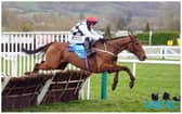 All eyes on Willie Mullins' brilliant Blackburn at Punchestown