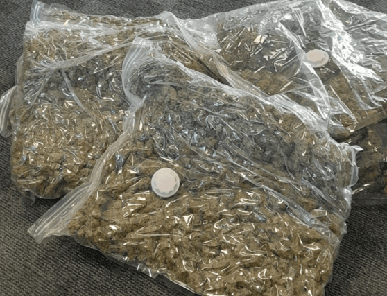 Herbal cannabis worth an estimated €121,000 was seized this Monday