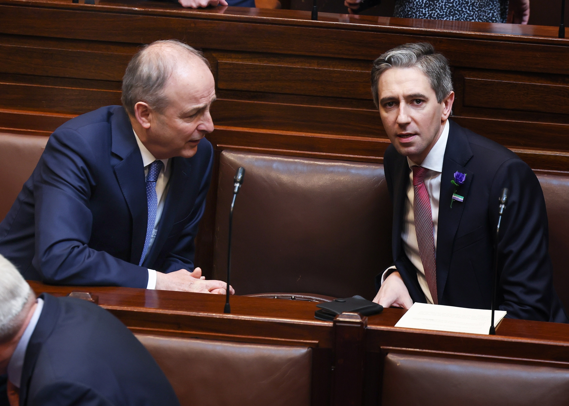 Tánaiste Micheál Martin photographed with Simon Harris, who has been formally nominated as Taoiseach by the Dáil
