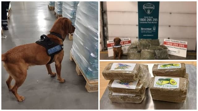 Revenue's Customs service has confirmed the drugs were seized in Dublin during an operation on Wednesday as a result of risk profiling