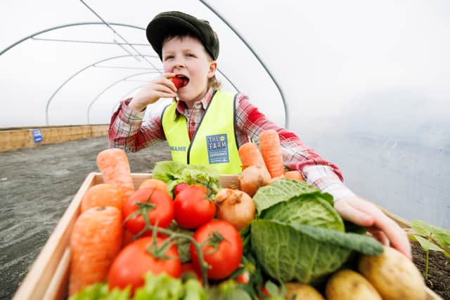 “Thanks to Lidl for having me and, when you go to the farm yourself, tell them Sheamie sent you.”