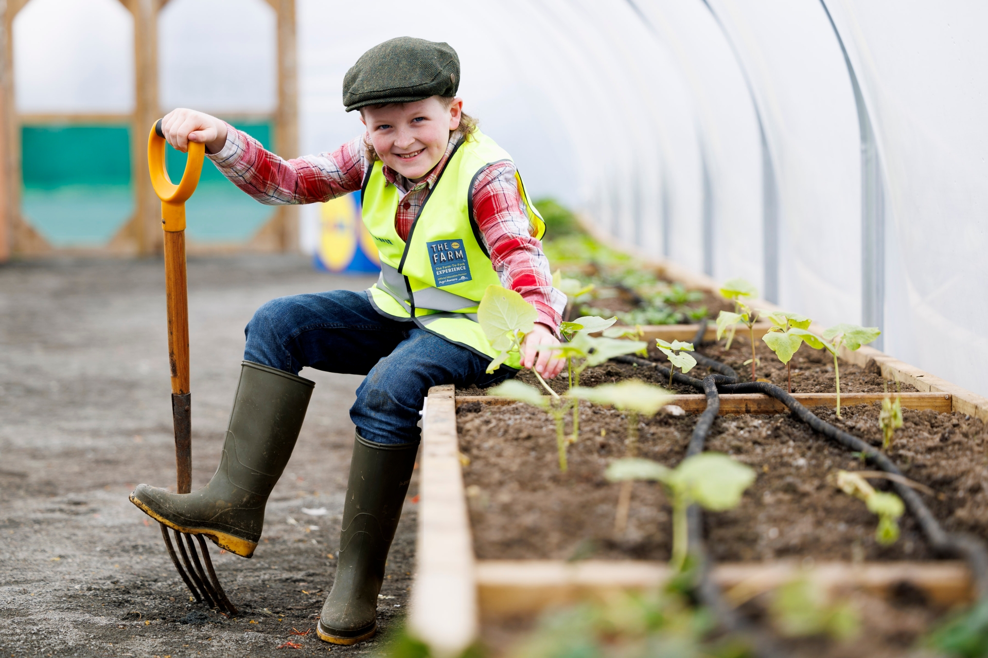 PICTURE: Lidl Ireland