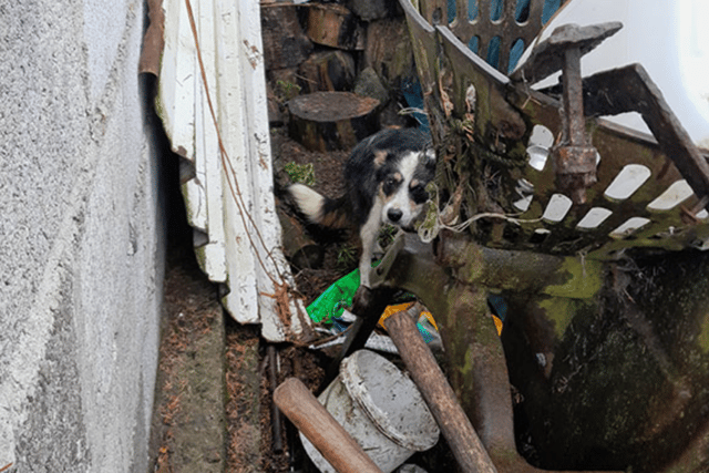 Her coat was reportedly saturated as it was raining heavily, and she was shivering. 