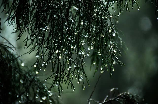 WEATHER: Cloud and rain on the way for Waterford today