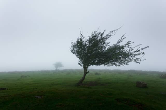 Met Éireann issues warnings with five counties pinpointed for battering