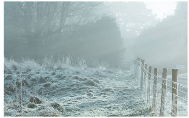 Met Éireann says animal welfare at risk as cold weather warning issued