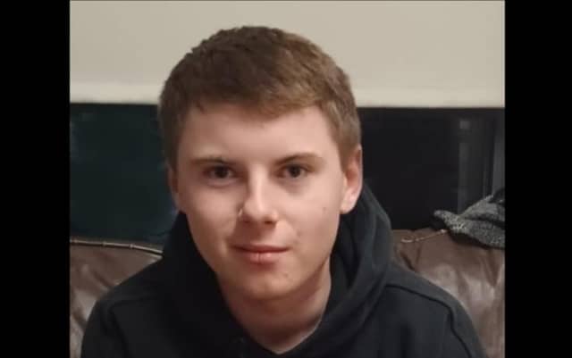 Brandon Varszegi, 17