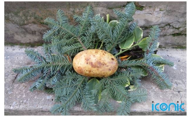 Yes, even the humble potato can make a great base for your festive wreath