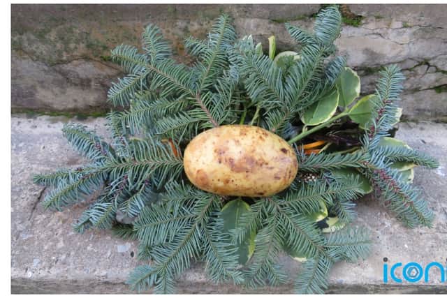 Keep one side of the potato clear (that’s the side which is going to be against the door) and use the other as the base for your wreath. You can use a bradawl (a small pointed tool) or a kebab stick to make the holes in the potato in which to insert the stems.