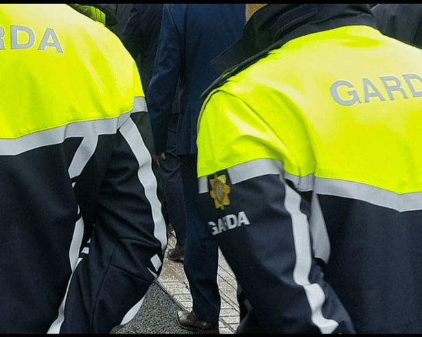 Teenage boy arrested as woman is killed in disturbing Offaly attack posted online
