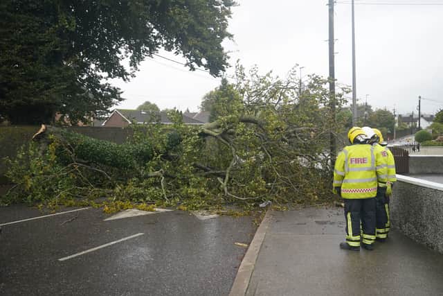 Storm Agnes, the first named storm of the season, is forecast to bring strong and disruptive winds until Thursday morning.