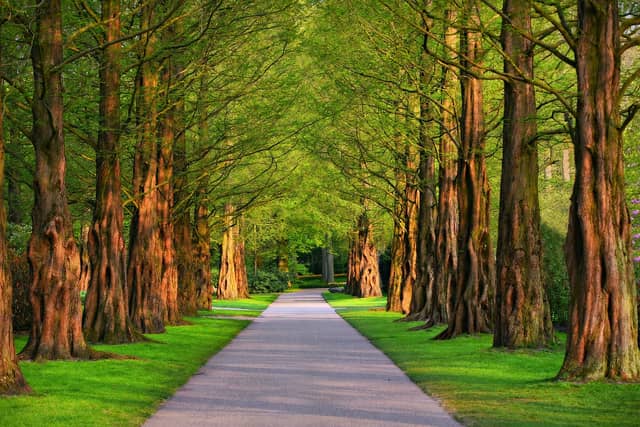 150 parks were awarded flags today around Europe, with Ireland leading the way with 101