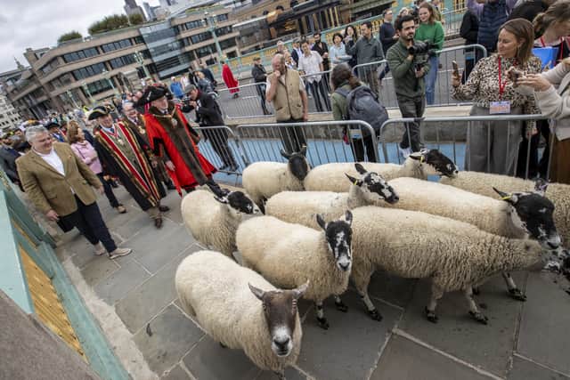 Reflecting on the farming industry, he added: “I’ve huge respect for these sheep farmers, it’s a really, really tough life.”