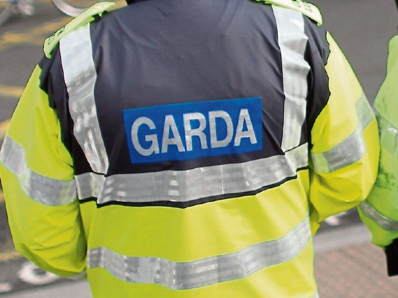 Gardaí in Carlow ask firearms owners to submit completed licence renewals