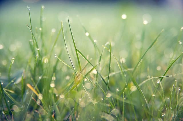 CARLOW WEATHER: An unsettled weekend ahead with heavy showers and spells of sunshine