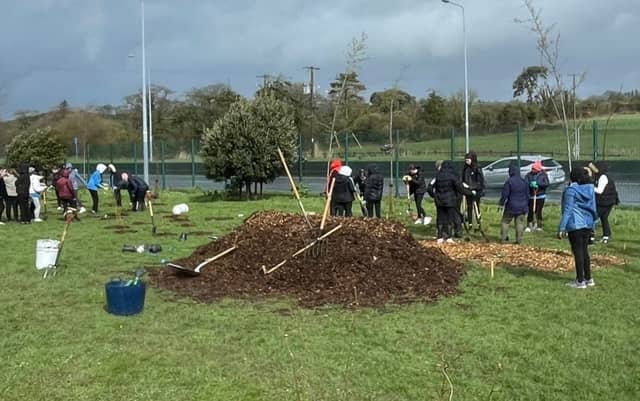 First year students from Mercy Secondary School planting the Ogham tree calendar.