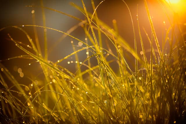CARLOW WEATHER: Mix of sunny spells and scattered showers expected today